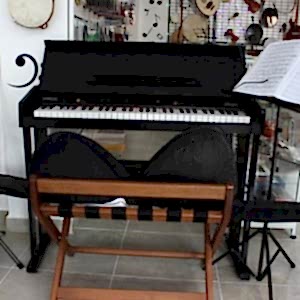 Deniz Müzik Merkezi: Piyano Kursu, Gitar Kursu, Keman Kursu, Bağlama Kursu